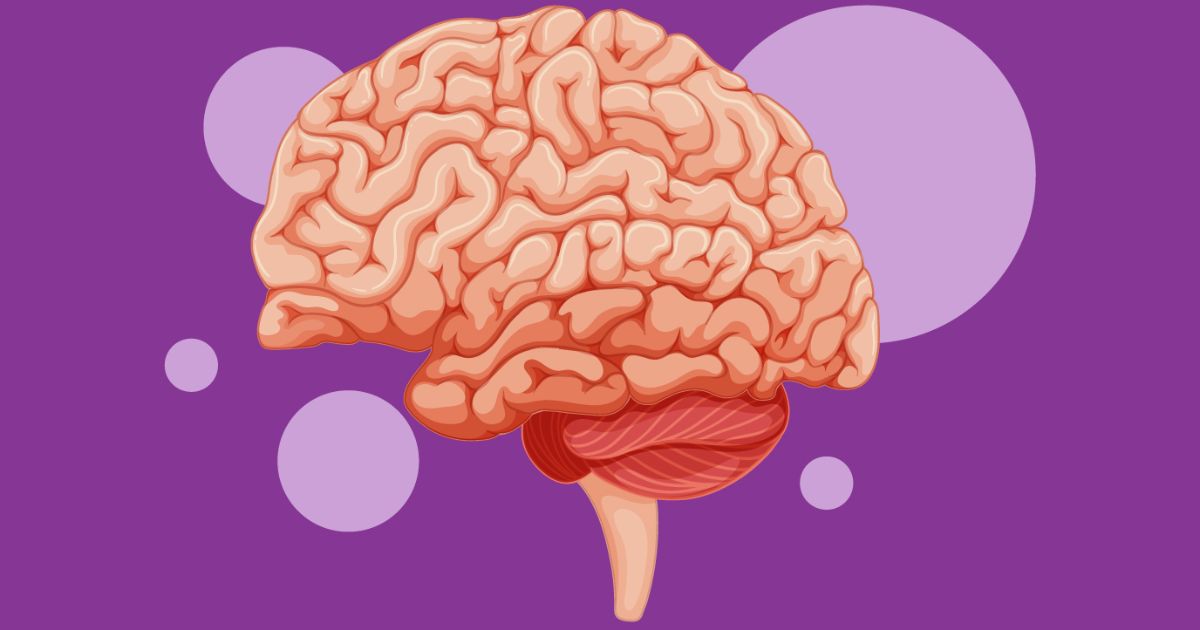 meningkatkan fungsi otak