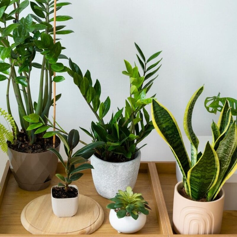 Kado Pernikahan Bermanfaat 