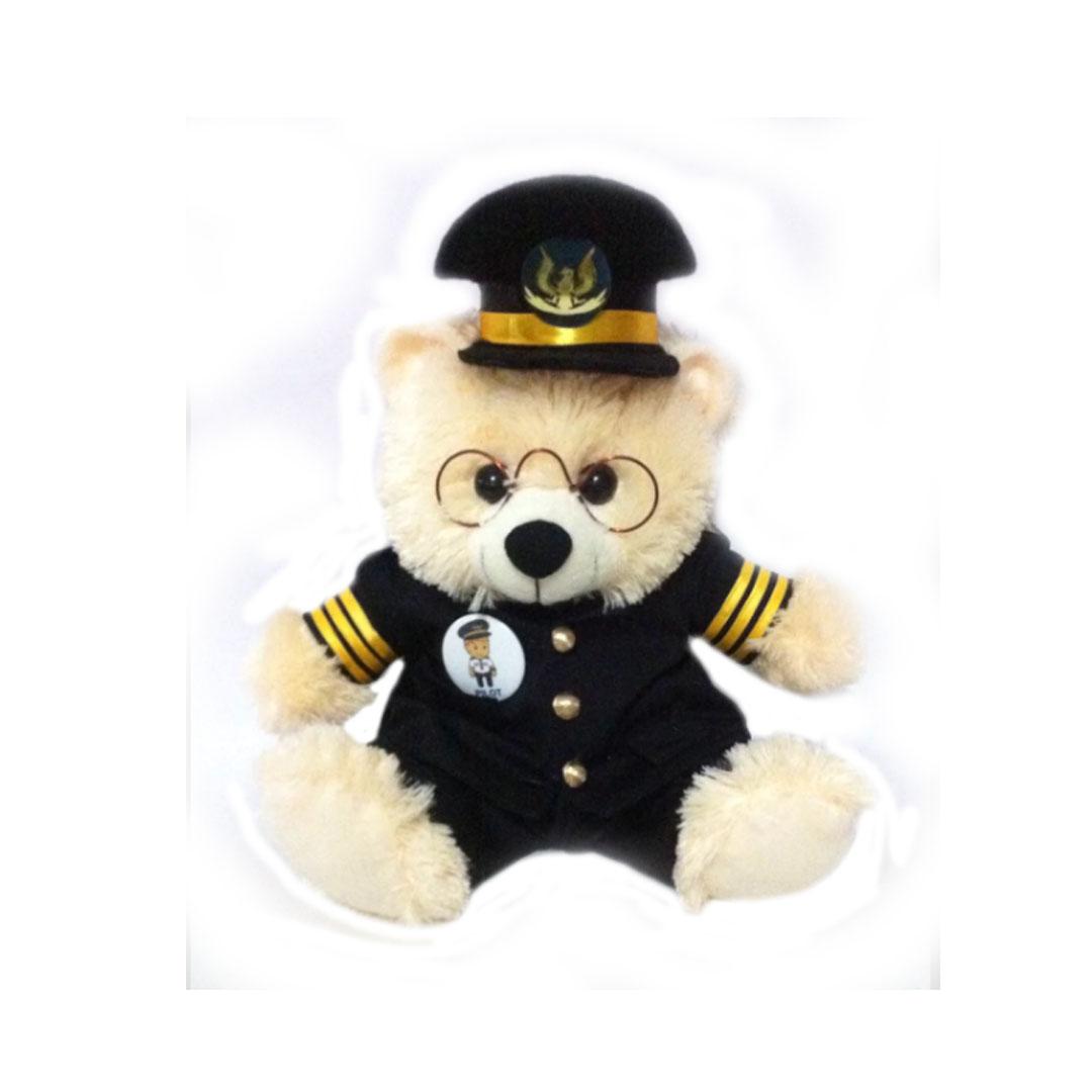Boneka Beruang Custom (BTB 002)
