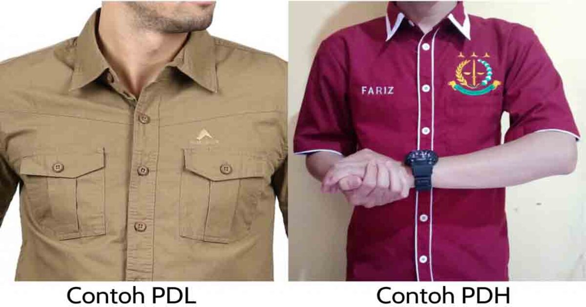 Perbedaan PDH dan PDL: Perbedaan Mendasar