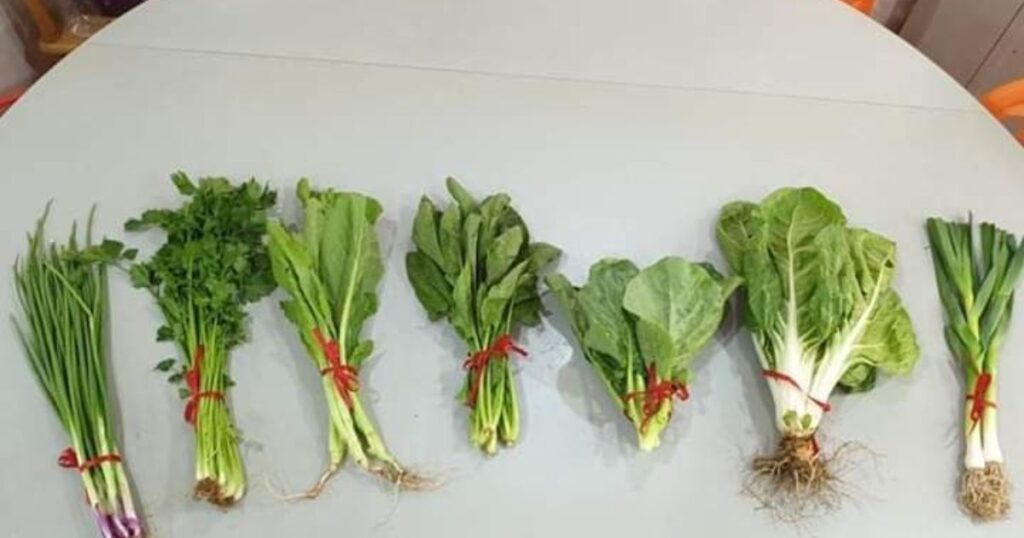 tradisi makan sayur 7 macam imlek